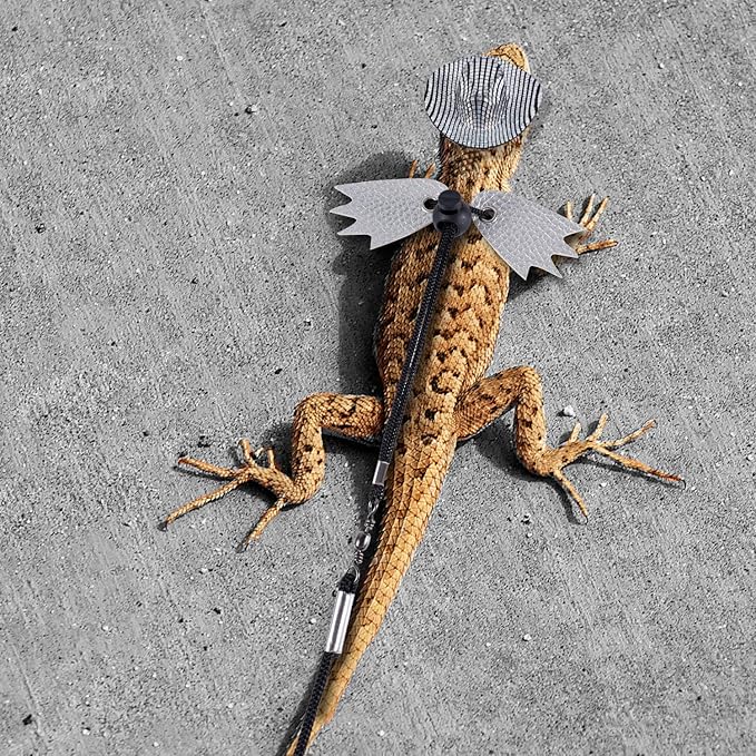 Bearded Dragon Lizard Leash Harness, Adjustable Lizard Leash Accessories Winged Bearded Dragon Rope with Hat and 3 Sizes Leather Harness for Lizard Chameleon Amphibian