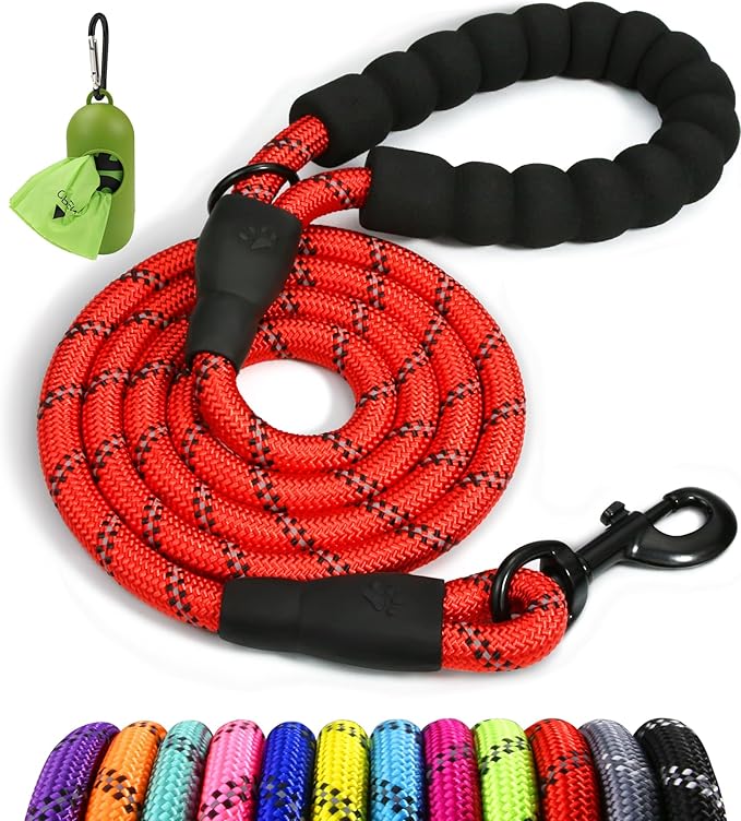 Taglory Rope Dog Leash 6 FT with Comfortable Padded Handle, Highly Reflective Threads Leash for Small Dogs, 3/8 inch, Red