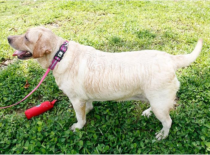 NIMBLE Dog Collar Waterproof Pet Collars Anti-Odor Durable Adjustable PVC & Polyester Soft with Reflective Cloth Stripe Basic Dog Collars S/M/L Sizes (Large (15.35”-24.8”inches), Rose Purple)