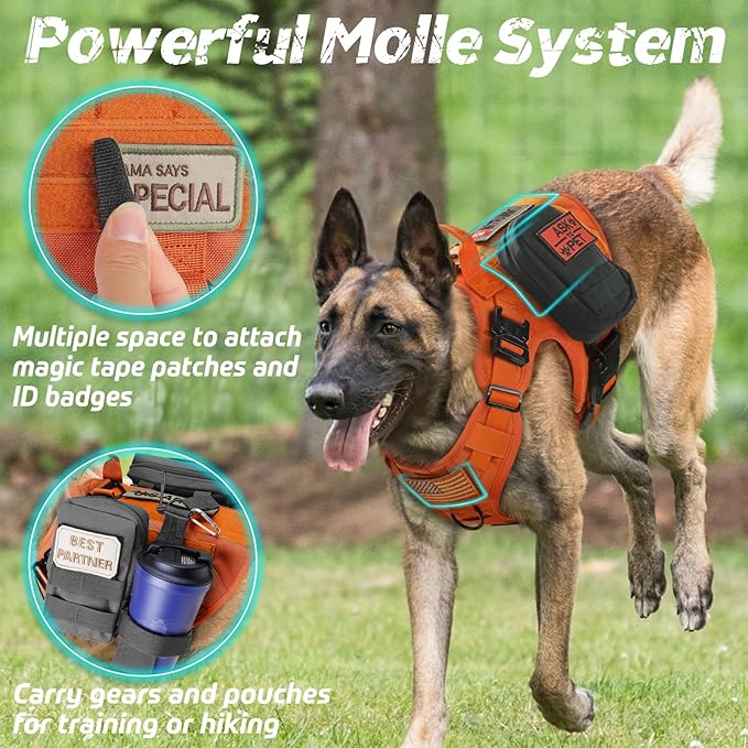 rabbitgoo Tactical Dog Harness for Large Dogs, Heavy Duty Dog Harness with Handle, No-Pull Service Dog Vest Large Breed, Adjustable Military Dog Vest Harness for Training Hunting Walking, Orange, M
