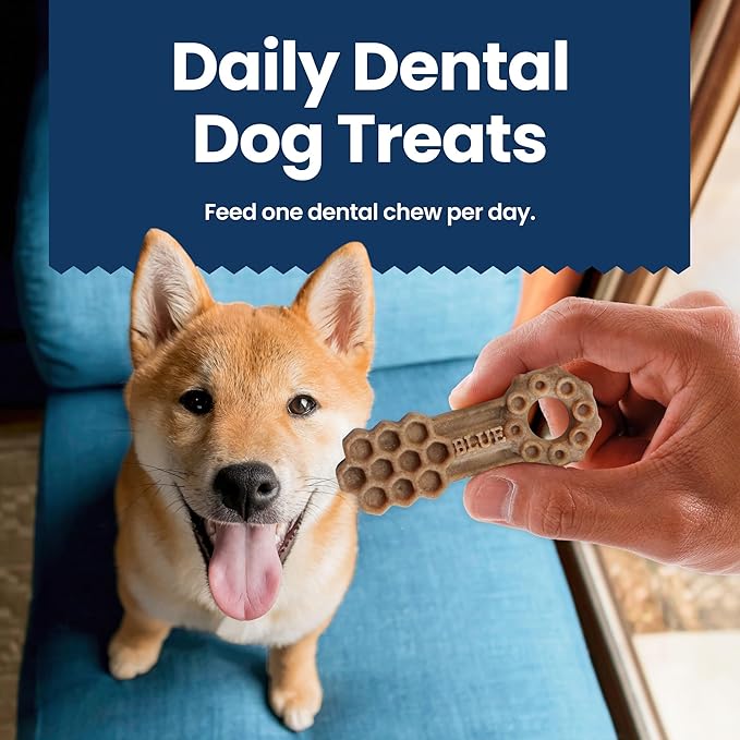 Blue Buffalo Dental Chews Large Natural Dog Treats, Chicken & Spearmint 33-oz Bag (21 Count)