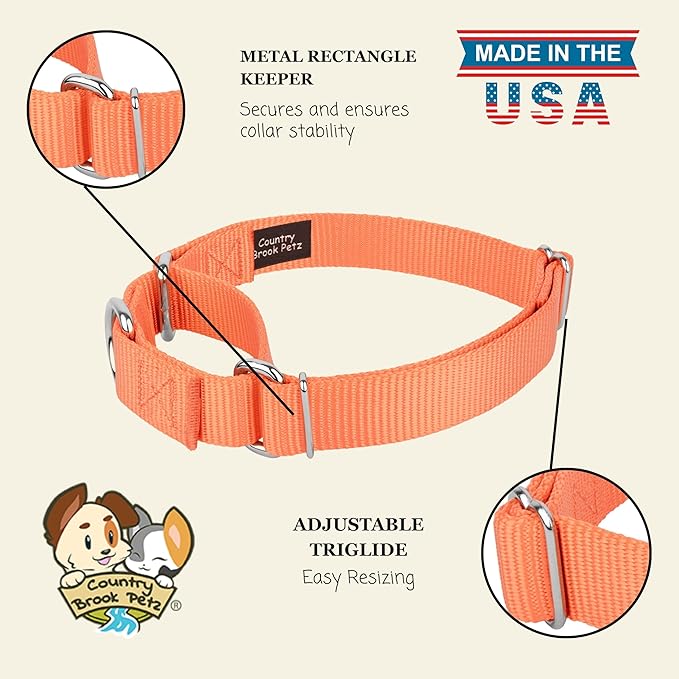 Country Brook Petz Martingale Dog Collar - Heavy-Duty Training Collar with No Buckle - Service Dog Collar for All Pups - Vibrant, Colorful Collection (Mango, 5/8 Inch, Extra Small)