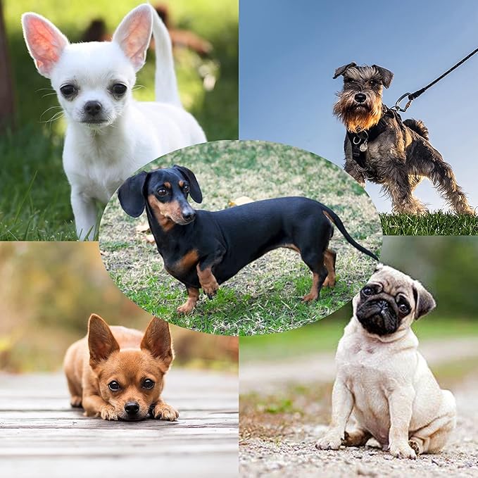 PXTIDY Ain't No Auntie Like The One I Got Dog Bandana Dog Aunt Reversible Triangle Bibs Pet Scarf Pet Bandanas for Dogs (Ain't No Auntie)