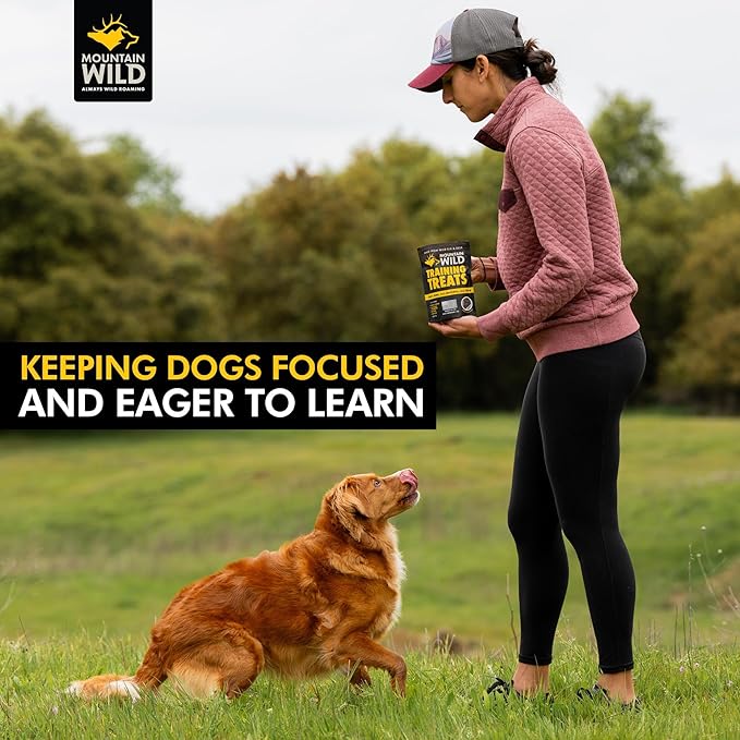 Training Treat Nibs for Dogs, Elk & Deer Protein, Rewards for Effective Dog Training, All Natural, No Fillers, No Artificial Preservatives (4 Ounce, 1, Count)