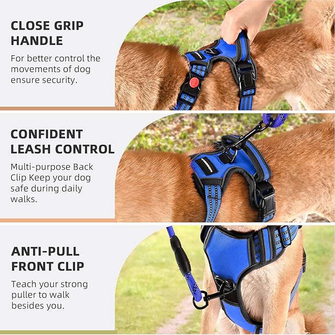 No Pull Dog Harness with A Free Heavy Duty 5ft Dog Leash, Adjustable Soft Padded Dog Vest, Reflective No-Choke Pet Oxford Vest with Easy Control Handle for Small and Large Dogs (Blue, Large)