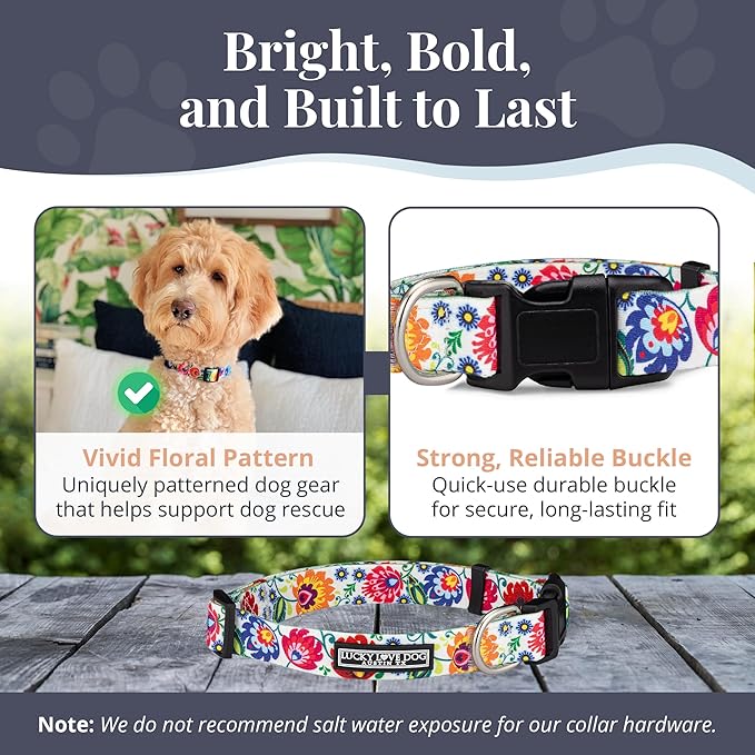 Lucky Love Dog - Adjustable Dog Collar with Easy Click Buckle for Small to Large Ones, Durable, & Comfortable for Male & Female Dogs, Pet Collar for Puppies & Adult Dogs - Ladybird, Medium