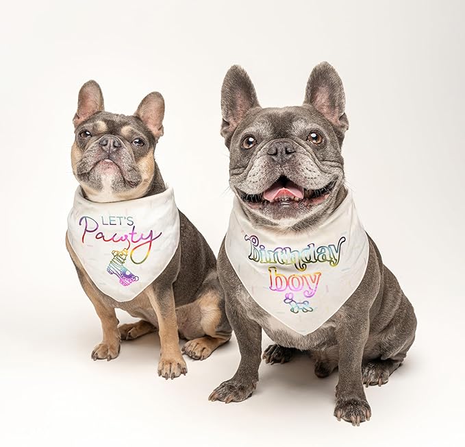 Birthday Boy Metallic Printed Dog Bandana | 100% Cotton Adjustable Triangle | Birthday Pawty | Party Theme | Celebration Supplies | Photoshoot Prop |Black, Silver Foil (1330)