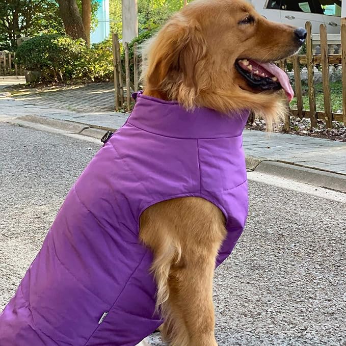 Purple Dog Winter Coat - Waterproof, Windproof, Ultra Warm, Breathable, Soft, Zippered Jacket with Cotton Lining for Small, Medium, Large Dogs