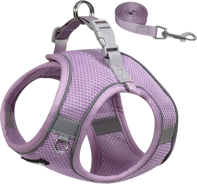 AIITLE Puppy Harness and Leash Set for Walking, Step in Dog Harness, Soft Breathable Pet Supplies, Reflective Bands, for Extra Small Dogs and House Cats Purple XXXS