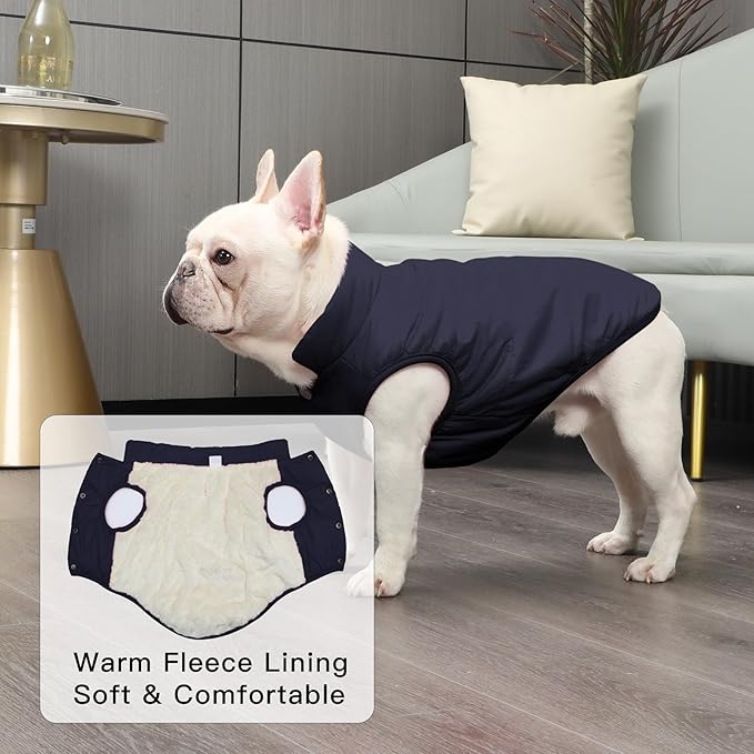 2 Layers Fleece Lined Warm Dog Jacket for Winter Cold Weather,Soft Windproof Medium Dog Coat,Blue L