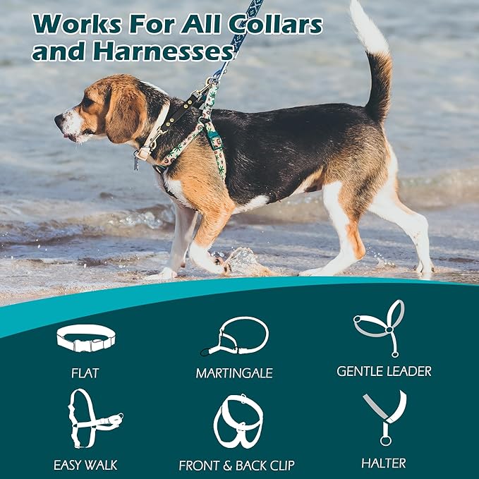PetBonus Dog Collar Safety Clip, Waterproof Backup Safety Strap for Dog Harness to Prong Collar, Odor Proof Double Ended Clasp Leash Connector for Training Walking (Green)