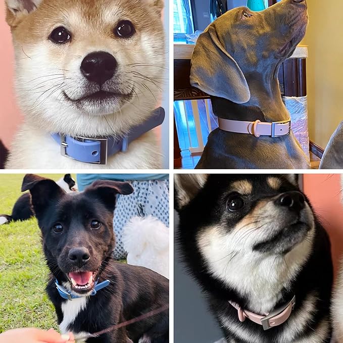 ZALER Waterproof Dog Collar, Adjustable Odor Proof Dog Collars Easy to Clean, Soft Comfortable Pet Collars for Large, Medium Small Dogs (Bright Orange, S(Length:8.6''-12.6''; Width:0.75''))