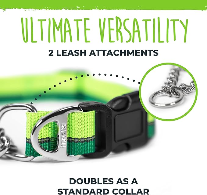 Mighty Paw Martingale Dog Collar - Gentle Correction with No More Pulling - Strong 100% Stainless Steel Chain - Weatherproof Won't Rust - Built to Last Premium Quality Nylon - Durable Plastic Buckle