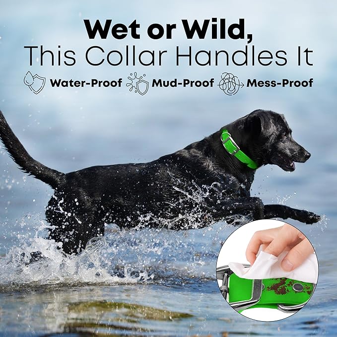 Regal Dog Products Small Light Green Waterproof Dog Collar and Leash Set | Heavy Duty Double Buckle & D Ring - 5'ft Leash | Adjustable Biothane Dog Collar | Chew Resistant Waterproof Collar for Dogs