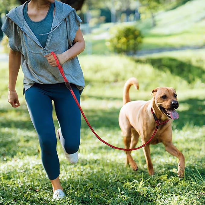 TwoEar Dog Slip Rope Leash - 1/2" x 6FT Heavy Duty Reflective Dog Training Leash for Small to Large Dogs (Red)