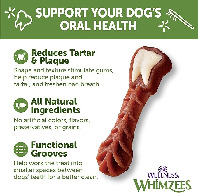Whimzees Wellness Brushzees Dog Dental Treats, Natural Chews, Large Size Stick, (6 Count)