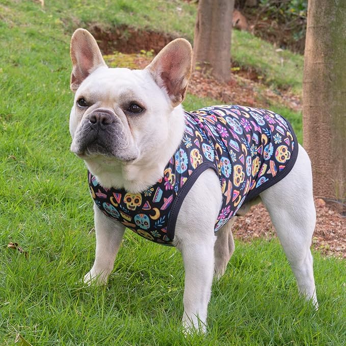 CuteBone Halloween Dog Shirts 2-Pack Soft Pet Clothes Breathable Summer Vest for Small Puppy and Stretchy Cat Apparel 2BX07XL