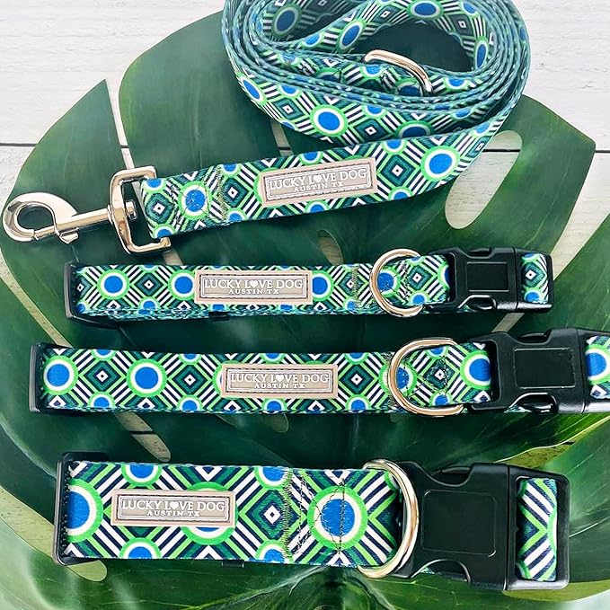Lucky Love Dog Combo Set, Dog Collar & Leash Set for X-Small Dogs, Colorful Matching Collar and Leash Set for Girl or Boy Dogs, Stripes Leo Combo, XS