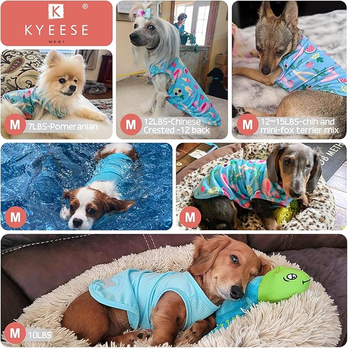 KYEESE 2 Pack Dog Shirts Hawaii Lightweight Breathable Pet T-Shirt for Small Dogs Quick Dry Sleeveless Puppy Shirt Dog Vest with Reflective Bone Pattern Clothes, Great Summer UV Protection, Medium