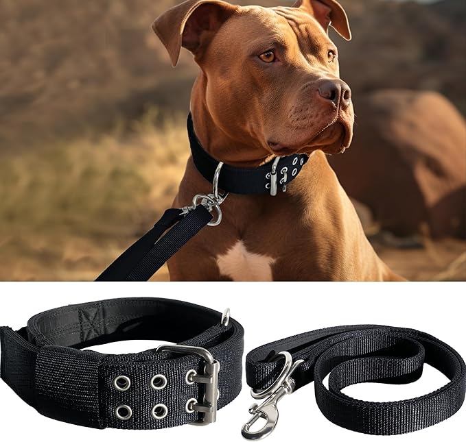 Large Dog Collar and Leash Set- Black Heavy Duty Collar and Leash for Gaint Breed Dogs, 2in Wide with Handle Collar and 5 ft Leash, Strong Nylon and Stainless Hardware, 17"-22"