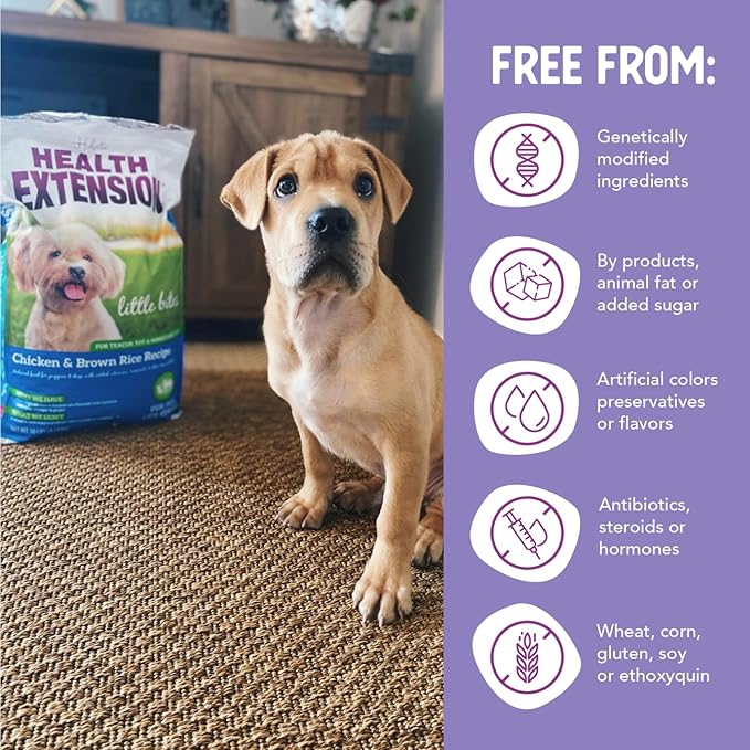 Health Extension Little Bites Chicken & Brown Rice Dry Dog Food (30 lb / 13.6 Kg) - Natural with Probiotics and Superfoods for Teacup, Toy & Small Breeds