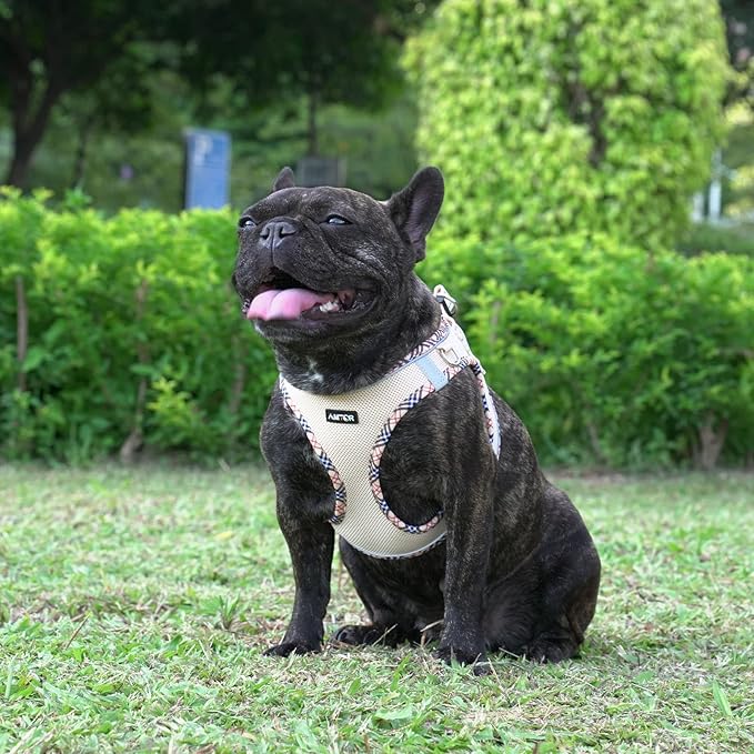 AMTOR Small Dog Harness with Leash Set, No Escape Easy Walk Puppy Harnesses for Training Walking, Step-in Reflective Soft Dogs Vest for XS S Medium Extra-Small Large Sized Dog(Beige,XXS)