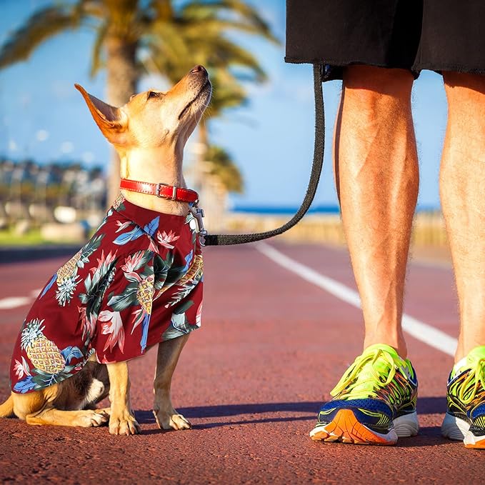Weewooday 4 Pieces Pet Summer T-Shirts Hawaii Style Floral Pet Dog Shirt Breathable Cool Clothes Beach Seaside Puppy Sweatshirt for Small Puppy(Cute Style,Medium)