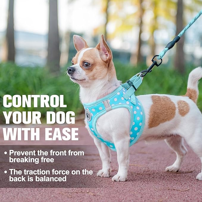 BEAUTYZOO Step in Dog Harness and Leash Set, Polka Dot Pattern Reflective Dog Harness No Pull No Choke Puppy Harness for XXS XS S Dogs Cats, Soft Padded Mesh Vest Harnesses for Girl and Boy Pets