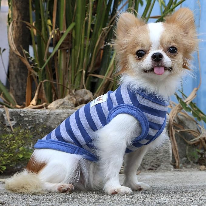 LOPHIPETS 100% Cotton Striped Dog Shirts for Small Dogs Chihuahua Puppy Clothes Tank Vest-Blue and Gray Strips/XL