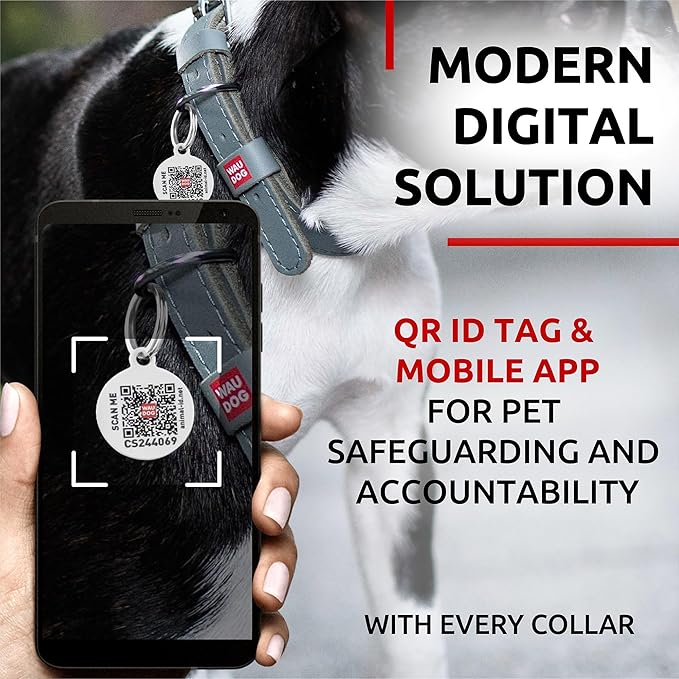 WAUDOG Long Lasting Leather Dog Collar for Large Dogs, Medium & Small Dogs - Adjustable Classic Puppy Collars for Large Breed Dogs - Boy & Girl Dog Collars with Durable Buckle, D-Ring & QR Dog Tag