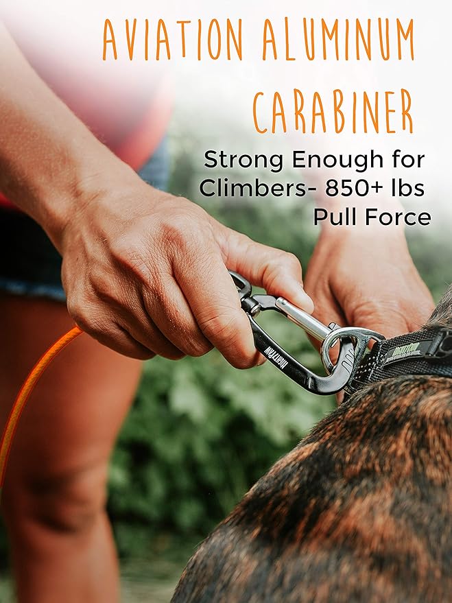 Mighty Paw Dog Leash - Anti Biting Pets Leashes - Chew Proof Metal Cable - Ideal for Large Dogs and Teething Puppies - Braided Cord with Padded Handle - Six Foot - Orange