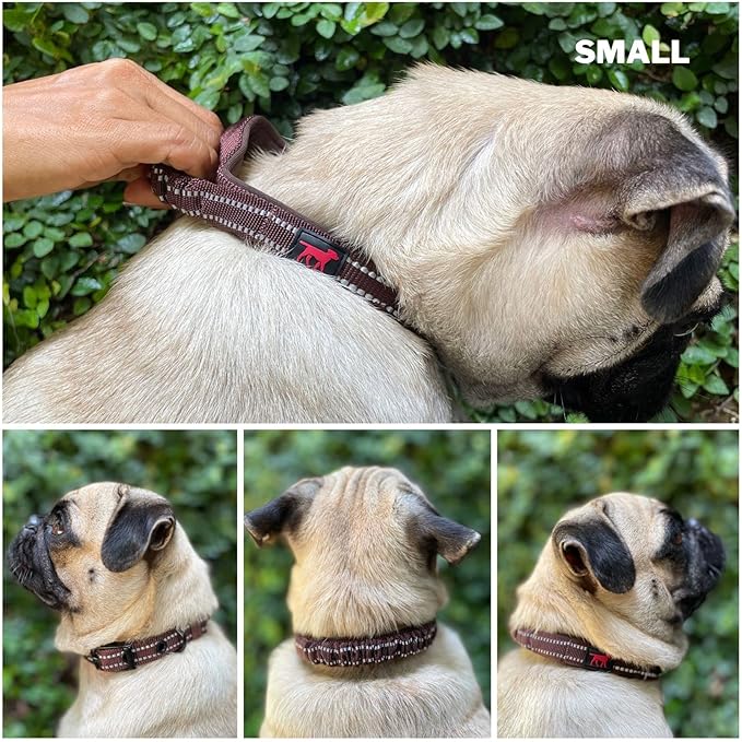 Tuff Pupper Heavy Duty Dog Collar with Handle | Ballistic Nylon Heavy Duty Collar | Padded Reflective Dog Collar with Adjustable Stainless Steel Hardware | Convenient Sizing for All Breeds