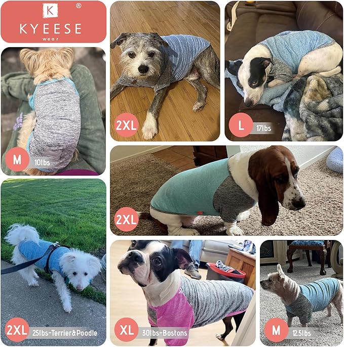 KYEESE 2 Pack Dog Shirts Quick Dry for Medium Dogs Breathable Lightweight Stretchy Dog T-Shirt with Reflective Label Raglan Sleeve Pet Clothes UV Protection, Purple+Grey, 2XL