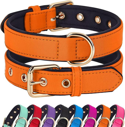 Didog Soft Padded Dog Collars for Medium Dogs, Lightweight and Breathable Dog Collar Waterproof with Metal Buckle, Orange, M