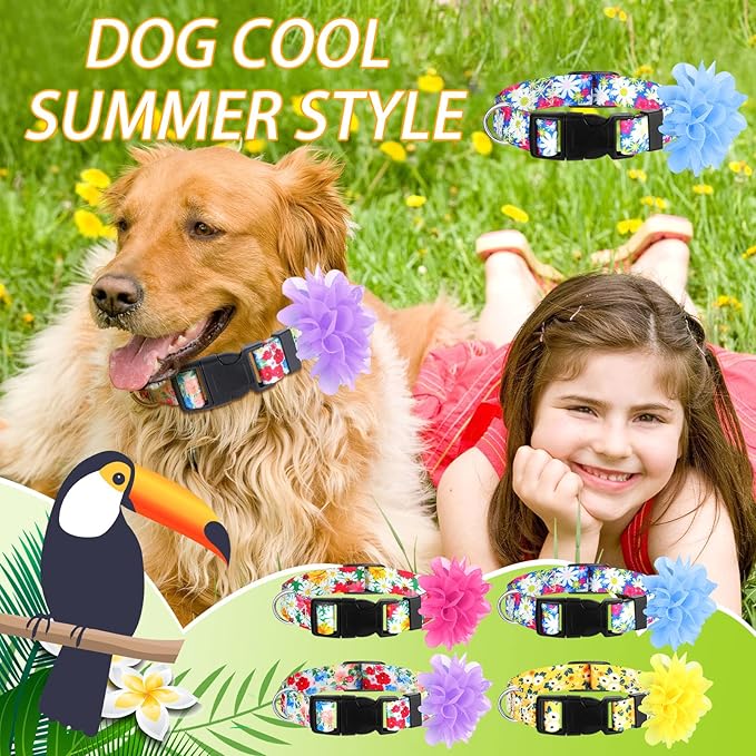 Kajaia 4 Pack Spring Summer Cute Dog Collars for Small Medium Large Female Dogs with Removal Flower Adjustable Nylon Pet Collars(Large)