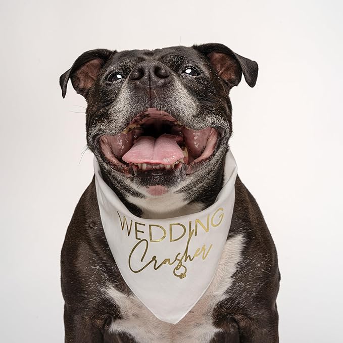 Wedding Crasher Metallic Printed Dog Bandana | 100% Cotton Adjustable Triangle | Wedding Photo Prop | Bridal Shower | Engagement Announcement |White, Rose Foil (1313)