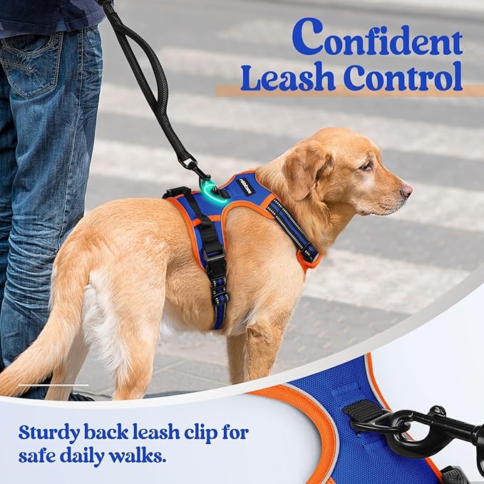 rabbitgoo Dog Harness No Pull with 2 Leash Clips, Adjustable Soft Padded, Reflective Oxford No Choke Pet Vest with Easy Control Handle for Large Dogs, Blue & Orange, XL
