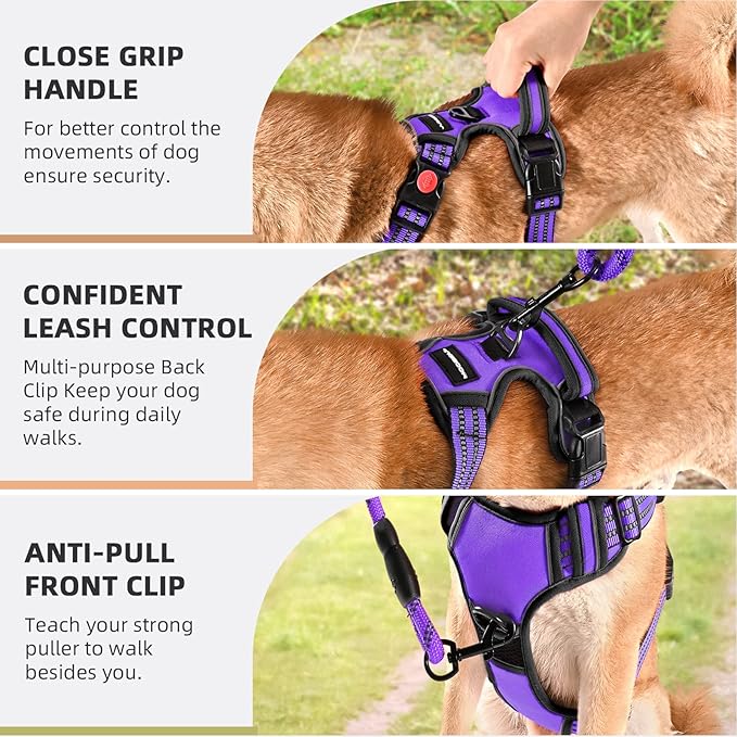 No Pull Dog Harness with Free Heavy Duty 5ft Leash, Adjustable Soft Padded Dog Vest, Reflective No-Choke Oxford Vest for Large Dogs (Purple)