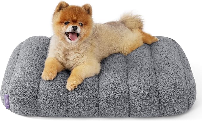 Lesure Cute Orthopedic Dog Bed for Small Dogs, Waterproof Chic Flat Pet Beds with Removable Washable Cover, Fuzzy Thick Egg Crate Foam Pet Mat for Indoor Use (24" x 18", Grey)