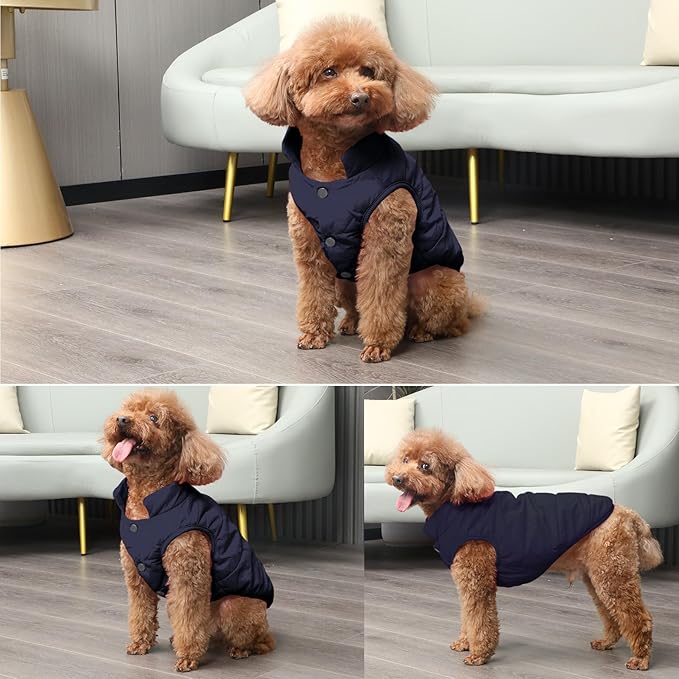 2 Layers Fleece Lined Warm Dog Jacket for Puppy Winter Cold Weather,Soft Windproof Small Dog Coat,Blue S