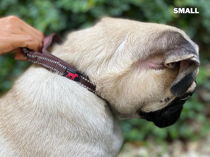 Tuff Pupper Heavy Duty Dog Collar with Handle | Ballistic Nylon Heavy Duty Collar | Padded Reflective Dog Collar with Adjustable Stainless Steel Hardware | Convenient Sizing for All Breeds