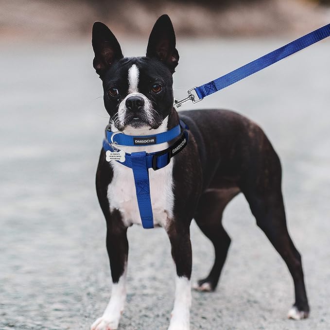 No Pull Dog Harness - Adjustable Step-in Harness & Leash Set for Small, Medium, Large Dogs - Escape Proof Soft Pet Harness for Walking, Training, Hiking, Outdoor Activities