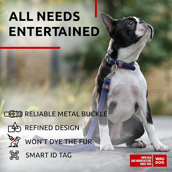 WAUDOG Long Lasting Leather Dog Collar for Large Dogs, Medium & Small Dogs - Adjustable Classic Puppy Collars for Large Breed Dogs - Boy & Girl Dog Collars with Durable Buckle, D-Ring & QR Dog Tag