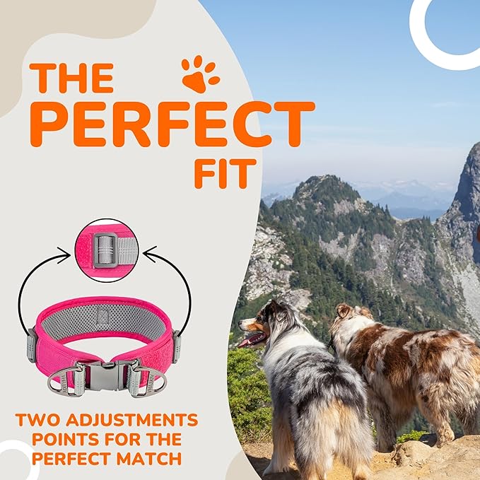 Durable 2-inch Adjustable Dog Collar for Large Dogs – Reflective, Heavy-Duty Metal Buckle, Comfortable Mesh Lining, Includes US Flag Patch and Versatile AirTag Holder (Pink, Large: Fit 18" - 23" Neck)