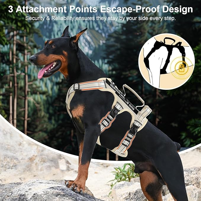 Escape Proof Dog Harness for Large Medium Sized Dogs Six Point Adjustable, Service Dog Vest Harness and Leash Set, No Pull Dogs Harnesses with Handle, XL Dog Harnesses for Walking(Beige, L)