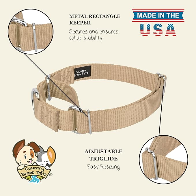 Country Brook Petz Martingale Dog Collar - Heavy-Duty Training Collar with No Buckle - Service Dog Collar for All Pups - Vibrant, Colorful Collection (Copper Gold, 3/8 Inch, 2XS)