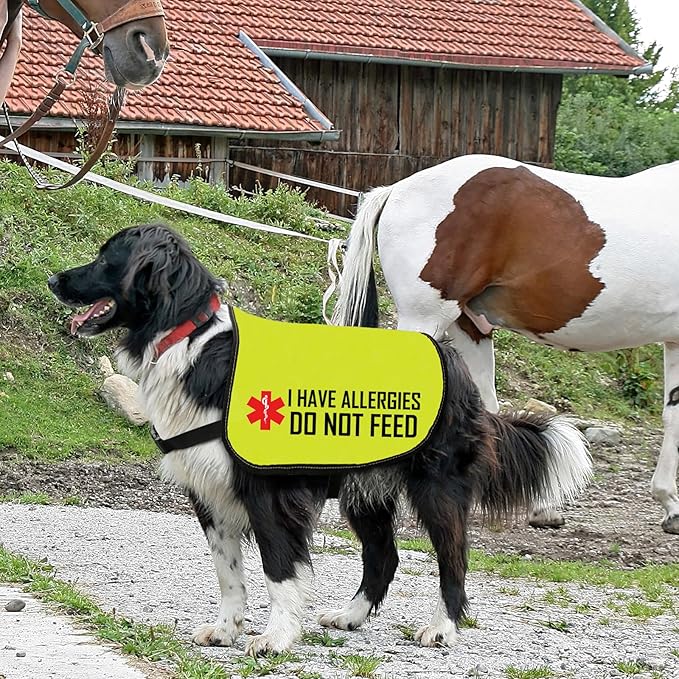 Allergies Warning Dog Jacket Vest I Have Allergies Do Not Feed Dog Harness Special Diet Alleric Dog Gift (DO NOT Feed-Large)