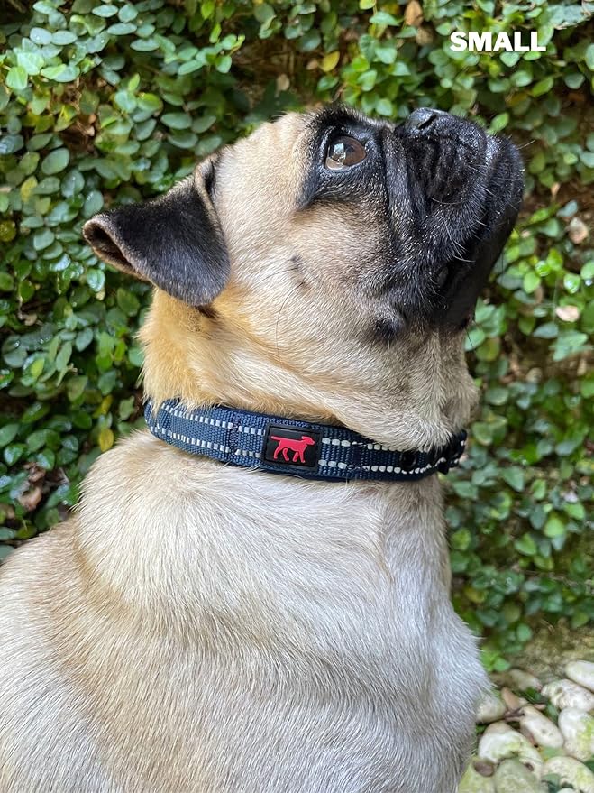 Tuff Pupper Heavy Duty Dog Collar with Handle | Ballistic Nylon Heavy Duty Collar | Padded Reflective Dog Collar with Adjustable Stainless Steel Hardware | Convenient Sizing for All Breeds