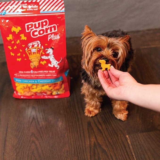 Pup Corn Plus - Puffed Dog Treats with Prebiotics and Probiotics - Chicken & Cheddar Cheese (16oz) - Made in USA