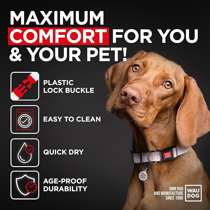 Airtag Dog Collar Nylon Dog Collar with Airtag Holder - Adjustable for Large Dogs, Small & Medium Dogs - Breakaway Puppy Collars for Large Breed Dogs - Boy & Girl Collars